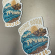 Load image into Gallery viewer, 2025 Shore Born Fall Hoodie
